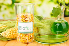 Llanllechid biofuel availability