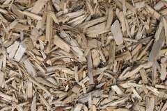 biomass boilers Llanllechid