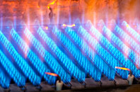 Llanllechid gas fired boilers